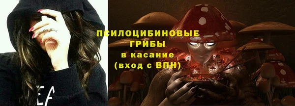 амф Алзамай