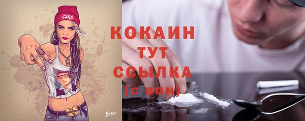 молекула духа Алексин
