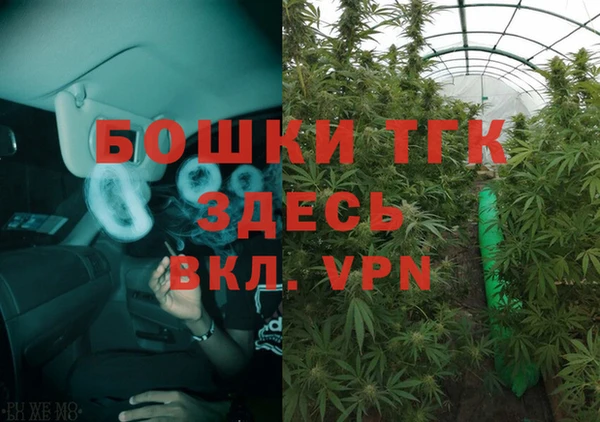 хмурый Арсеньев