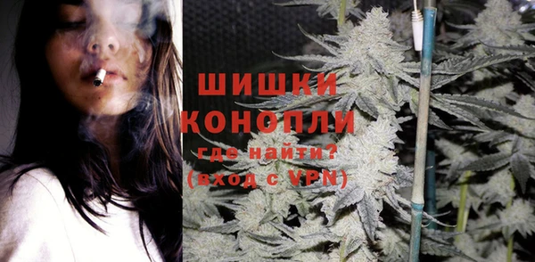 хмурый Арсеньев