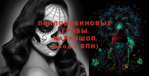 хмурый Арсеньев