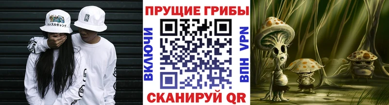 Псилоцибиновые грибы Psilocybine cubensis  это официальный сайт  Артёмовск 